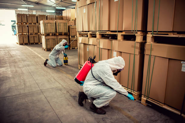 Best Best Pest Control Companies  in Oxford, GA