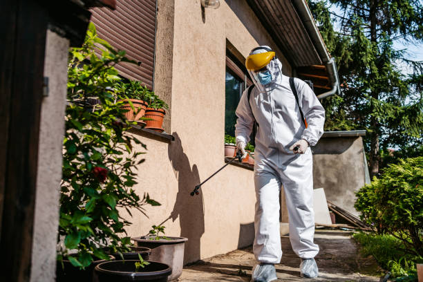 Best Cockroach Control Services  in Oxford, GA