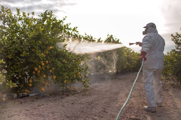 Best Exterminator Services  in Oxford, GA