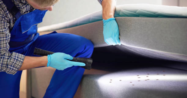 Best Mosquito Control Services  in Oxford, GA