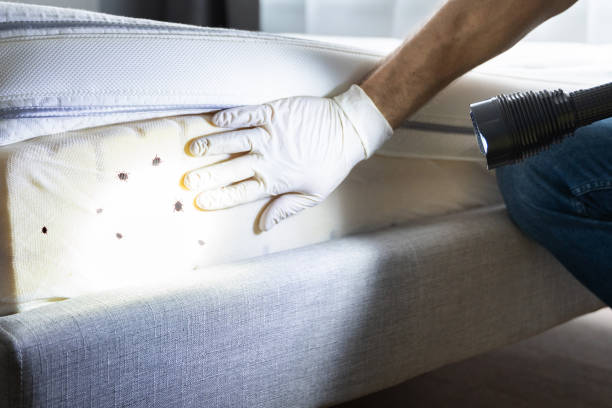 Best Commercial Pest Control Services  in Oxford, GA