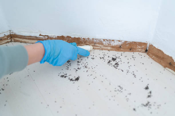 Best Termite Control Services  in Oxford, GA